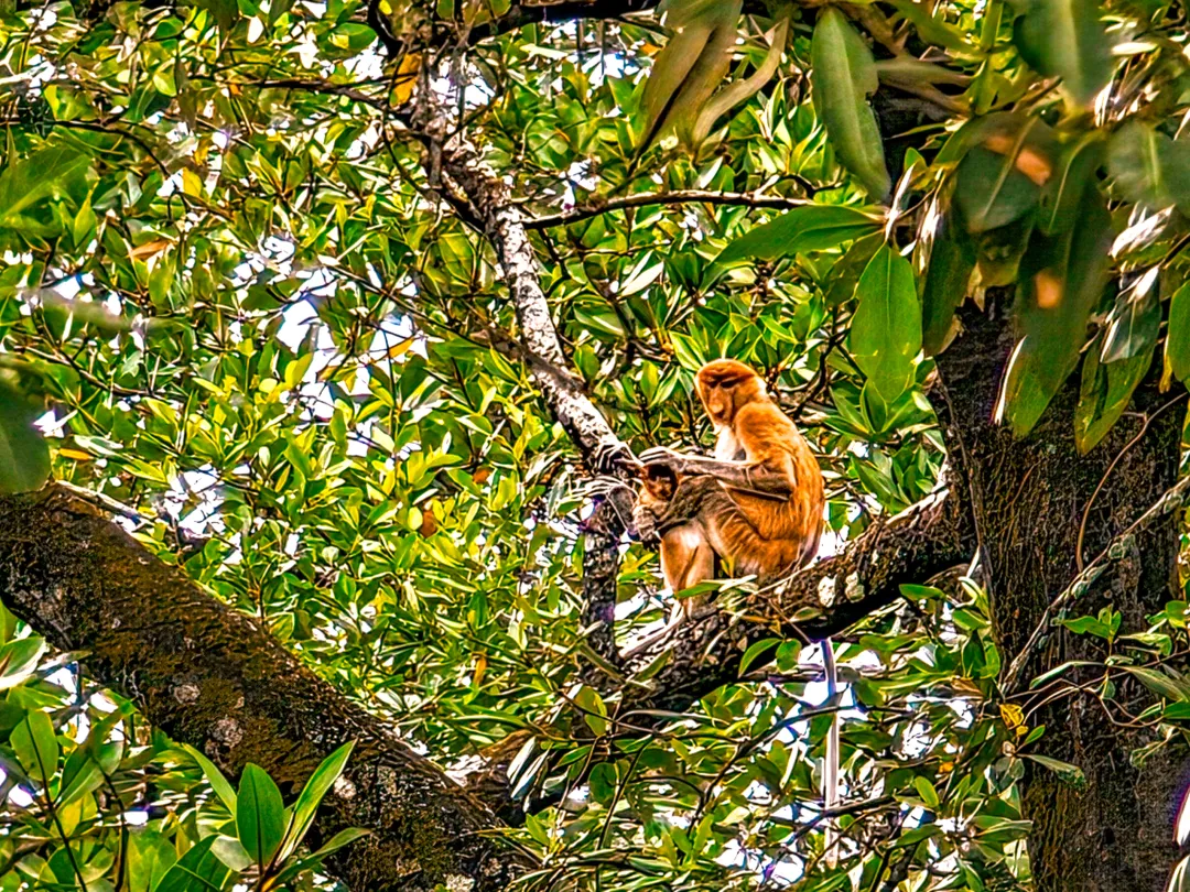 b23da81e7a46dccac532a46a2f6b6269-sz_3891507