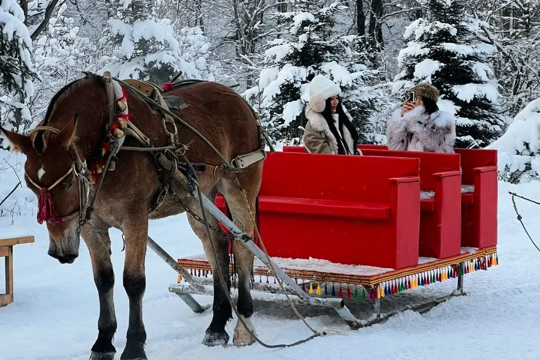 b2c802318af54d2848bdf7af67a65c8a-sz_3069790 b2c802318af54d2848bdf7af67a65c8a-sz_3069790