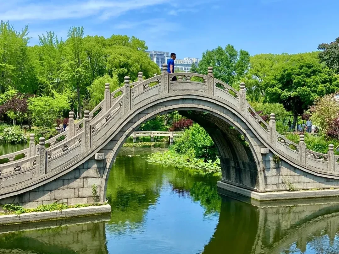 b2dccc14f3b45ba0490182ef11fa8383-sz_512639