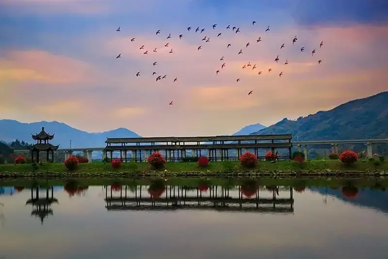 b2e57387bb7ba4615f2072cb1b229e62-sz_99455