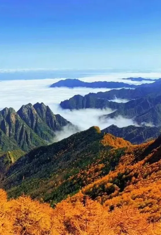 b301005634b5f33a323b4f34ea8aa255-sz_235501