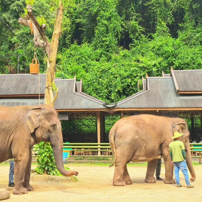 b37415baa88adc0abe22420c13e27bfd-sz_805314 b37415baa88adc0abe22420c13e27bfd-sz_805314