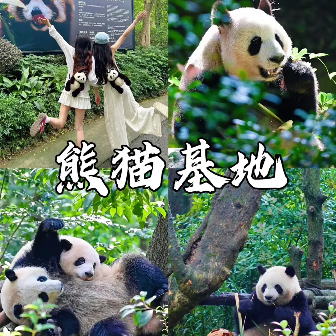 b3b2b0e4b6ebd06061a9266dcbe00d4a-sz_4065986