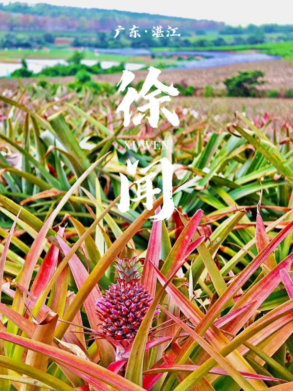 b3f750cc0861b213d5312ac689c86d94-sz_1323030-1