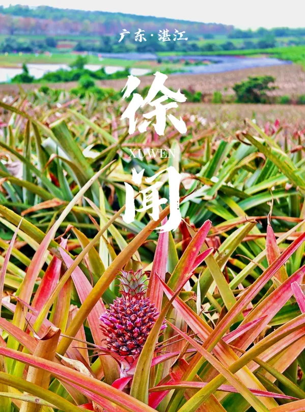 b3f750cc0861b213d5312ac689c86d94-sz_1323030 b3f750cc0861b213d5312ac689c86d94-sz_1323030