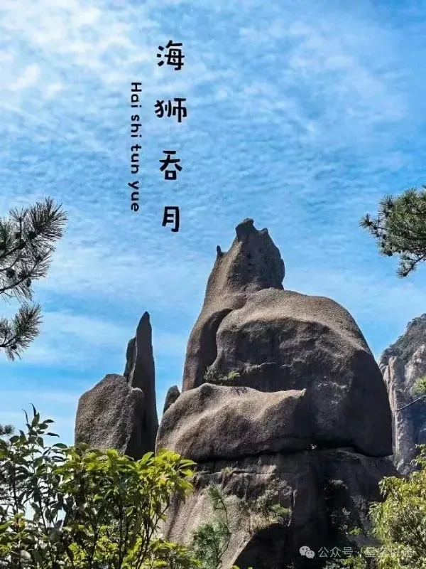 b42579b9b7faa43dc907f3ad3b28fcf2-sz_105503