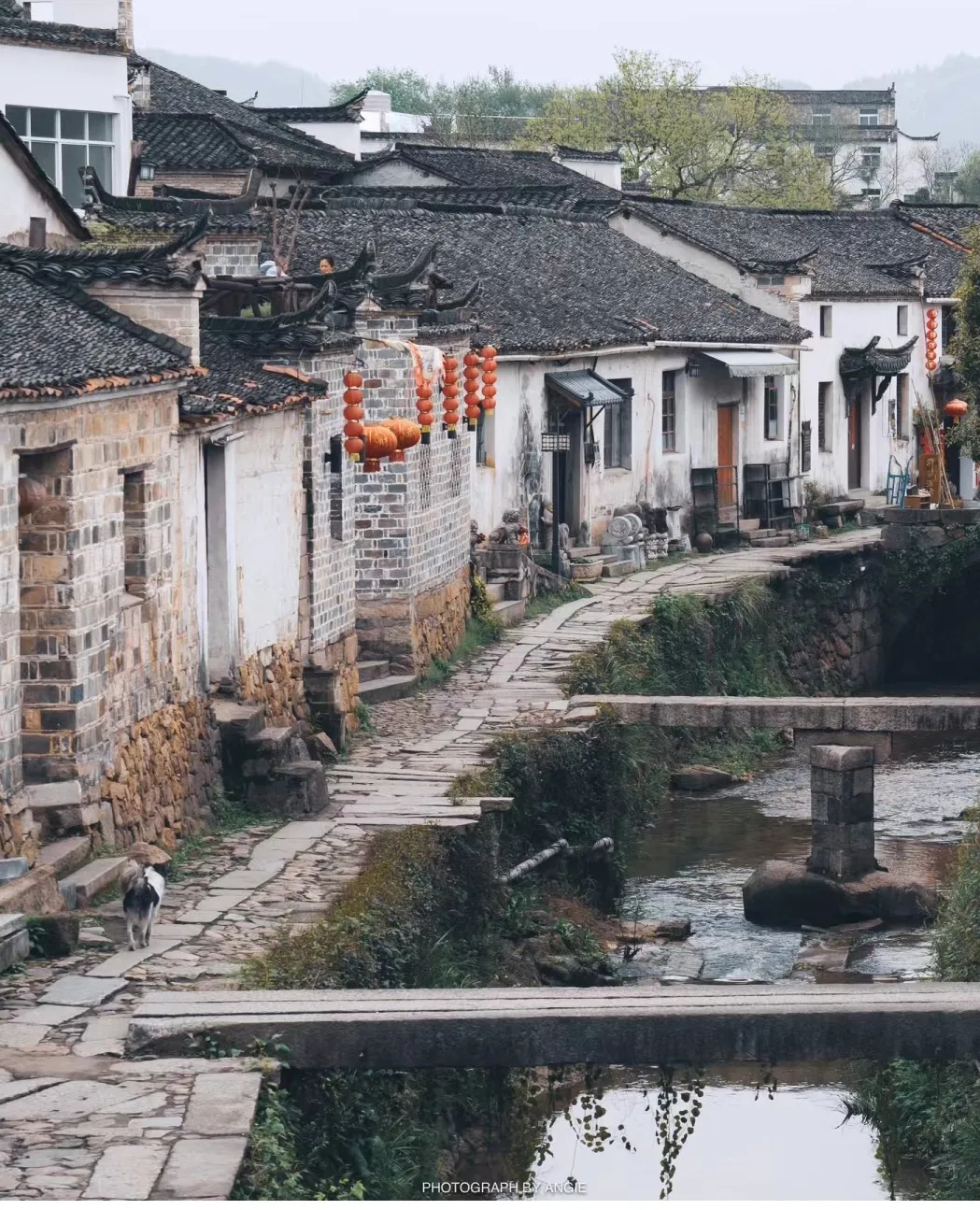 b431b94d451e6f9b430bd31c2b5c1c2c-sz_659780 b431b94d451e6f9b430bd31c2b5c1c2c-sz_659780