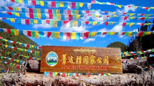 b43afa5f937723747a0fe1bccda93456-sz_306576