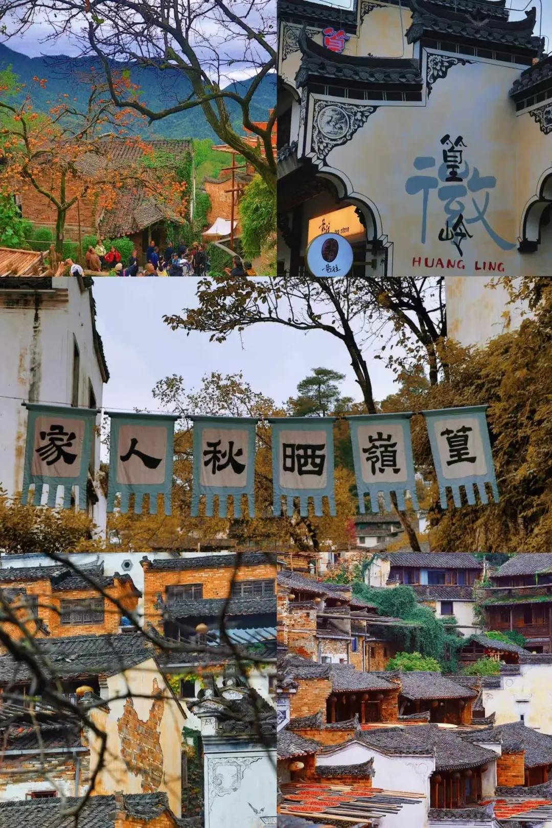 b446c39d220389b6d4b3fa916fe8fbc4-sz_540802