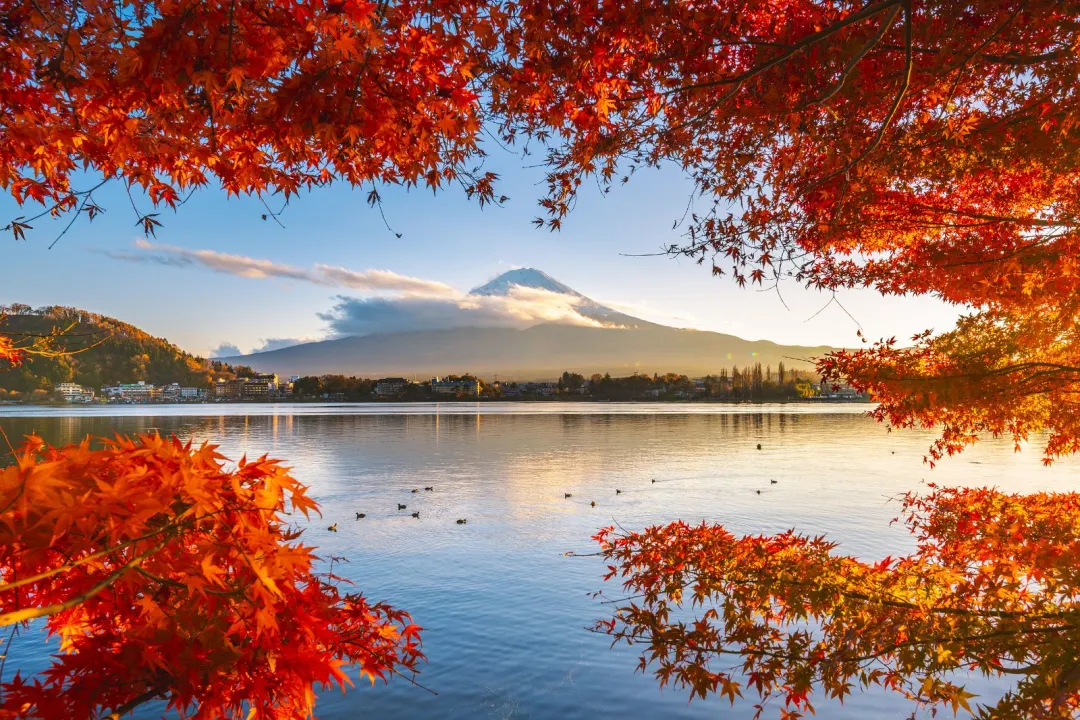 b48af682eba9f8e7e7634d2c8176725f-sz_499864 b48af682eba9f8e7e7634d2c8176725f-sz_499864