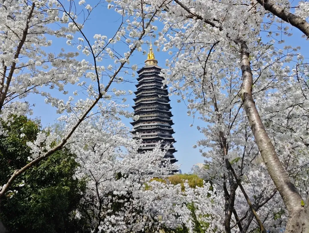 b4a2d74eceaabad1396ebdc1064497e7-sz_818168 b4a2d74eceaabad1396ebdc1064497e7-sz_818168