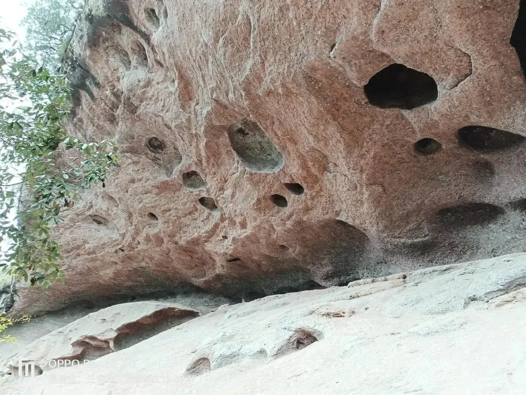 b4afc3bf10891f6299f70b8b590a66d6-sz_1700121