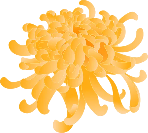 b4d742c975605f02b6cbe52bb9364e84_sz-114902-1