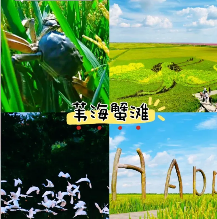 b4f9d122fd07d4dccc6fc4464224c5f4-sz_1360484 b4f9d122fd07d4dccc6fc4464224c5f4-sz_1360484