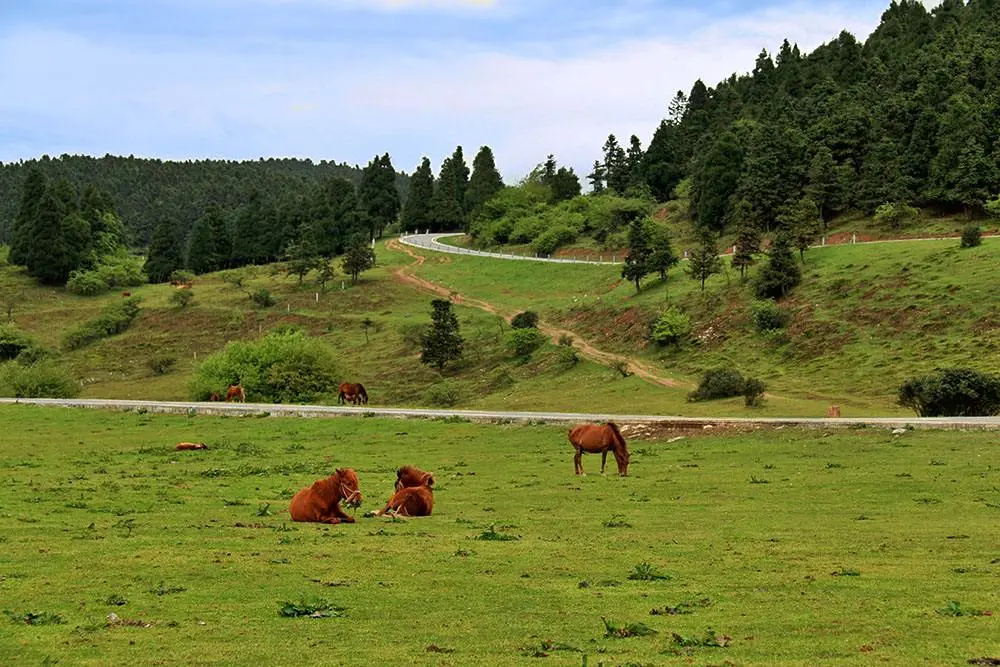 b526d19157e310dcf606a1ed99fc0bbf-sz_133042-3