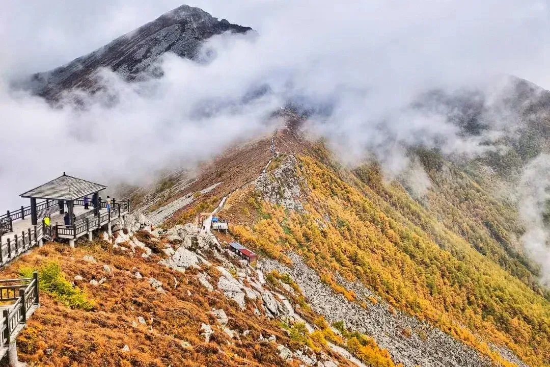 b537b69c5606d7bb0e6759a97d6eaa9b-sz_2599382