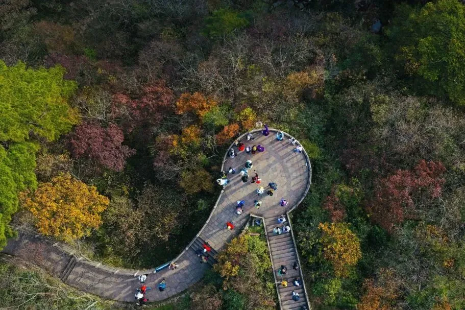 b54555493afc85c5ae9c3bca229c51f7-sz_160697