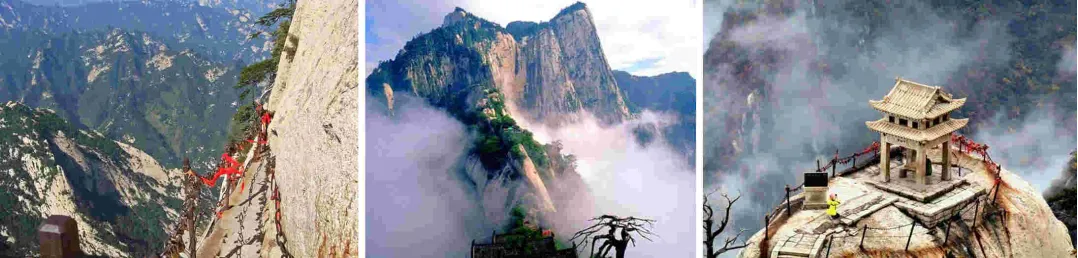 b5f7dbbe8839441096dd61b9ff9da76e-sz_1114623