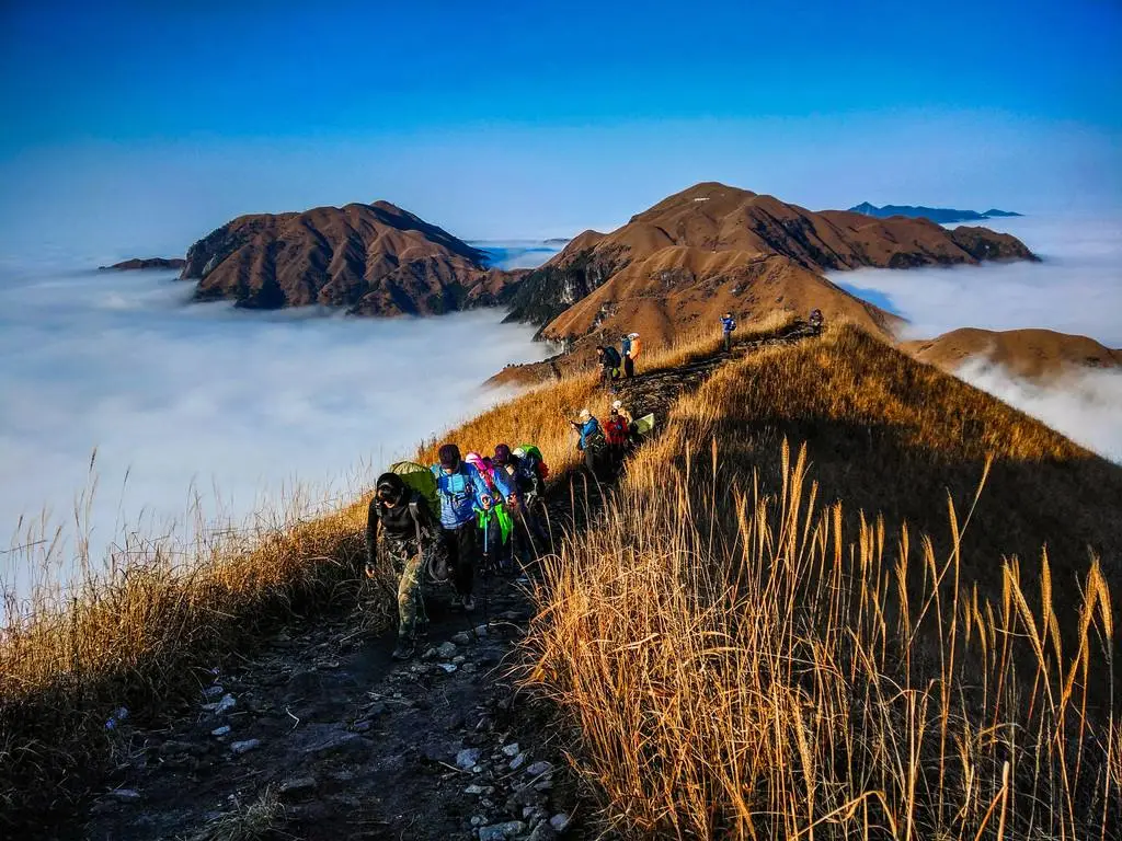 b5fde30ff78db8e07a7ec1362dab5af6-sz_155032