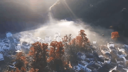 b61943748a2ce750f1dde6795ecfb6e2-sz_3719369-1