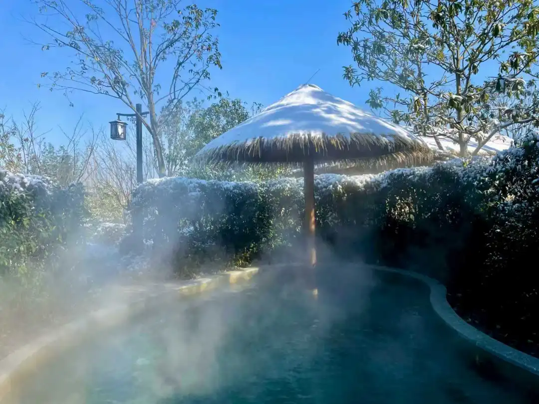 b6271f0e65c87516358f292f97b6d6ee-sz_210797