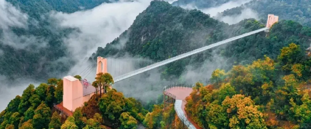 b630e54fc14c56d349e75c0f6f0d92d6-sz_264911