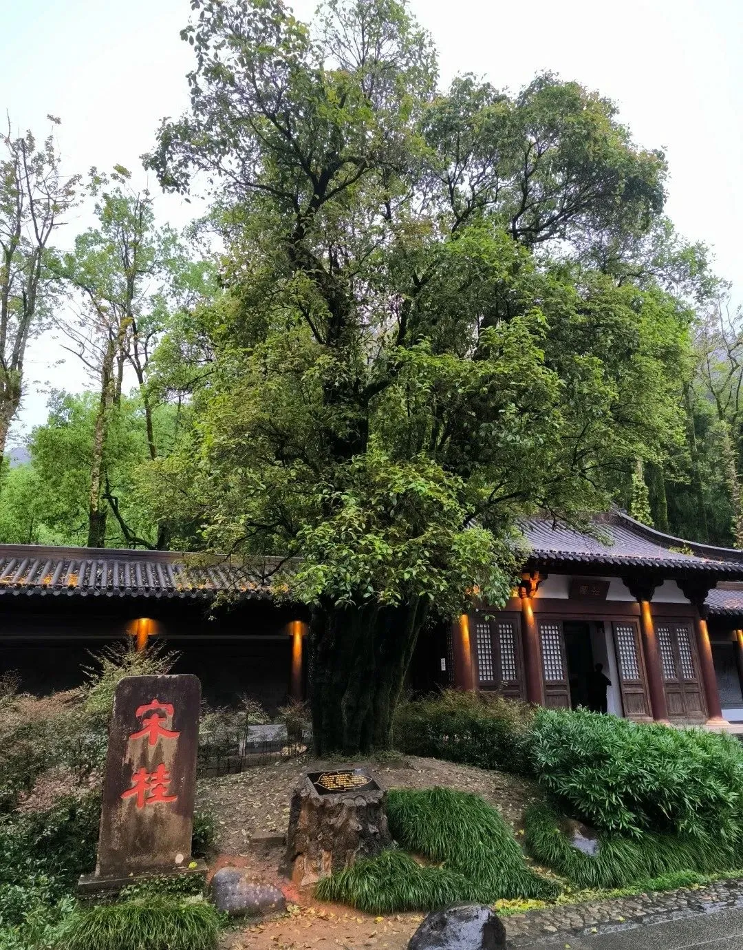 b672a182d2d21b8f386a096cbe0275a0-sz_3620462