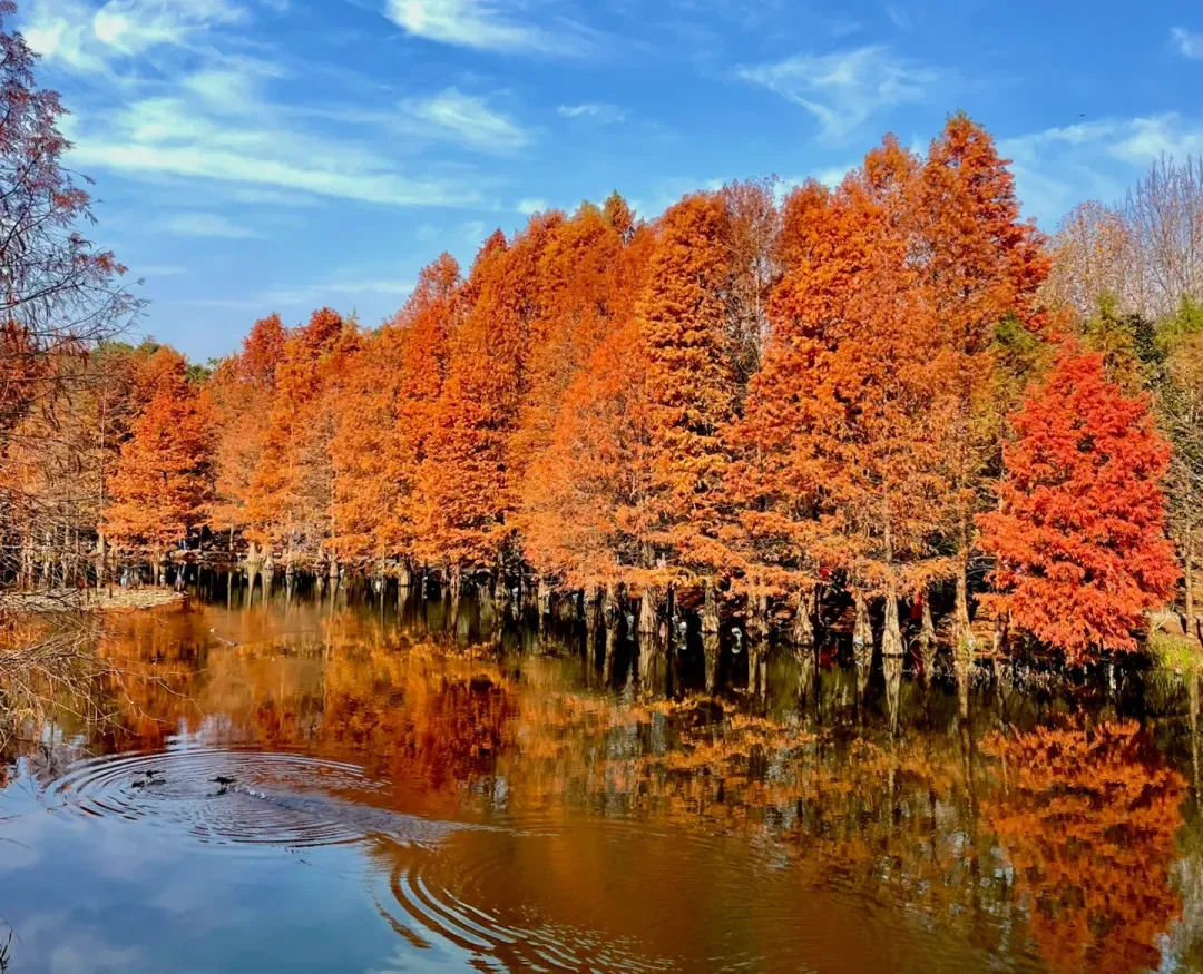 b6b25704fd95f5ce89c7f56913ea5834-sz_2240861 b6b25704fd95f5ce89c7f56913ea5834-sz_2240861