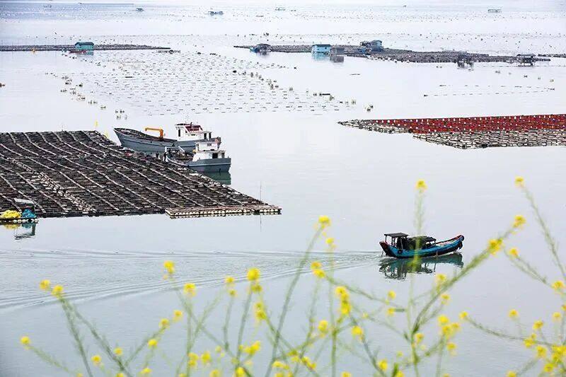 b6ba0f70210216e549d36ef925f35a87-sz_79977 b6ba0f70210216e549d36ef925f35a87-sz_79977