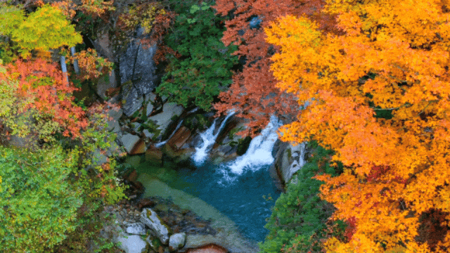 b6dd67ac019e91894189c0e1241b039d-sz_3230130-1 b6dd67ac019e91894189c0e1241b039d-sz_3230130-1