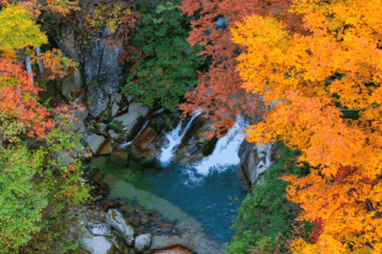 b6dd67ac019e91894189c0e1241b039d-sz_3230130