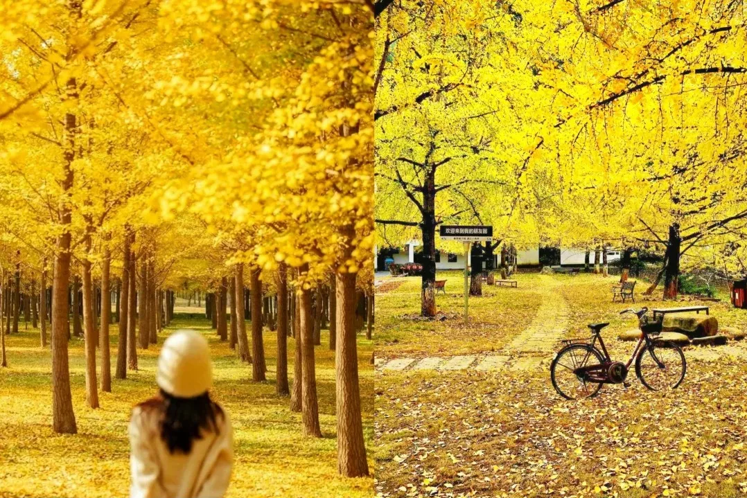 b6de2524c465fedde2357df5824d748b-sz_730708-1