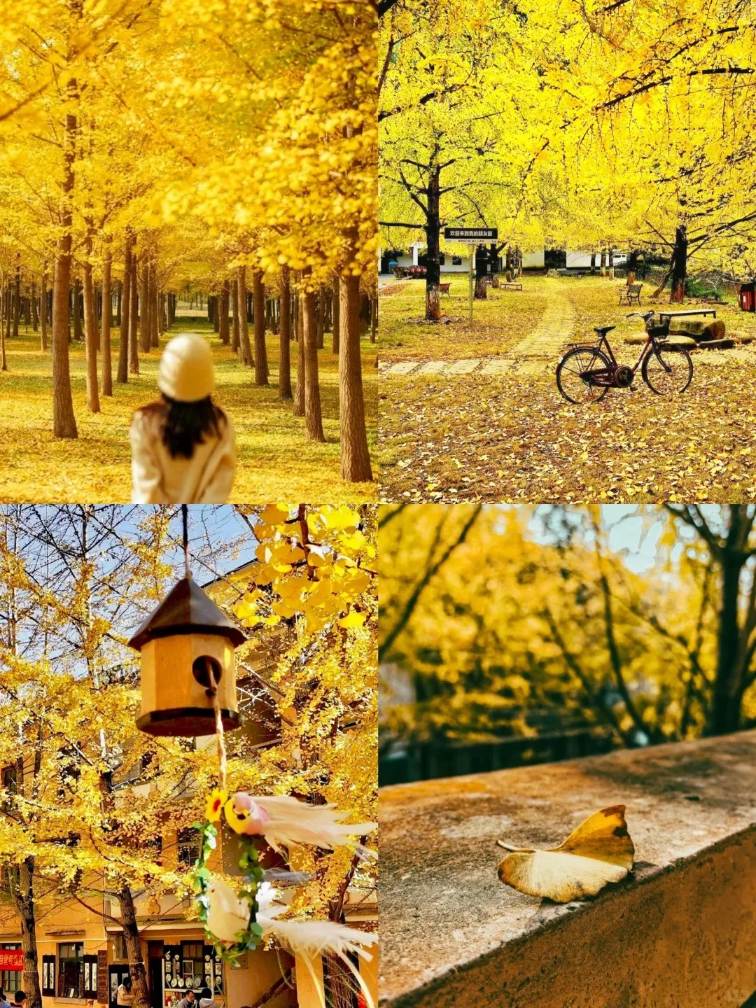 b6de2524c465fedde2357df5824d748b-sz_730708