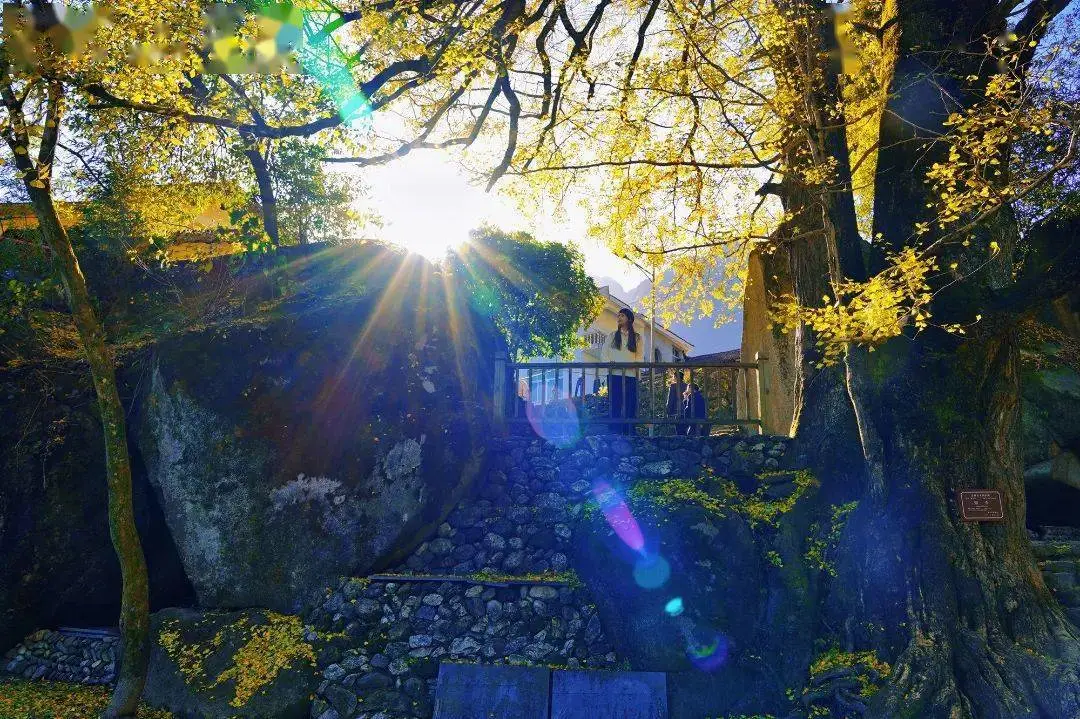 b6e79e15b2ae35b4a06477aa464c0fdd-sz_208117