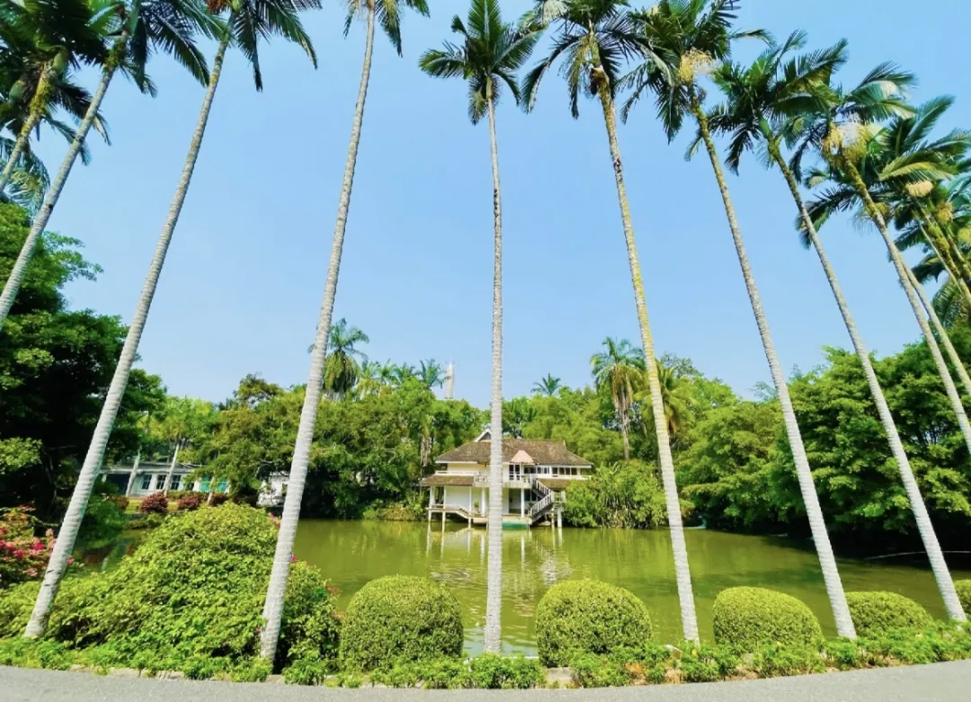 纯玩￥2380【纯玩版纳】西双版纳双飞6日●全程连住携程4钻酒店！