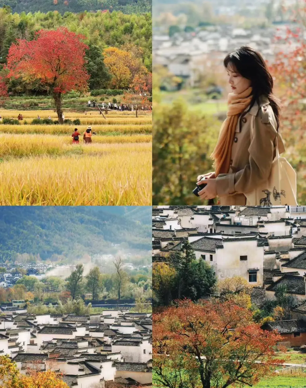 b71c93a34a1e1b91f9ba0fcb94624bac-sz_449778