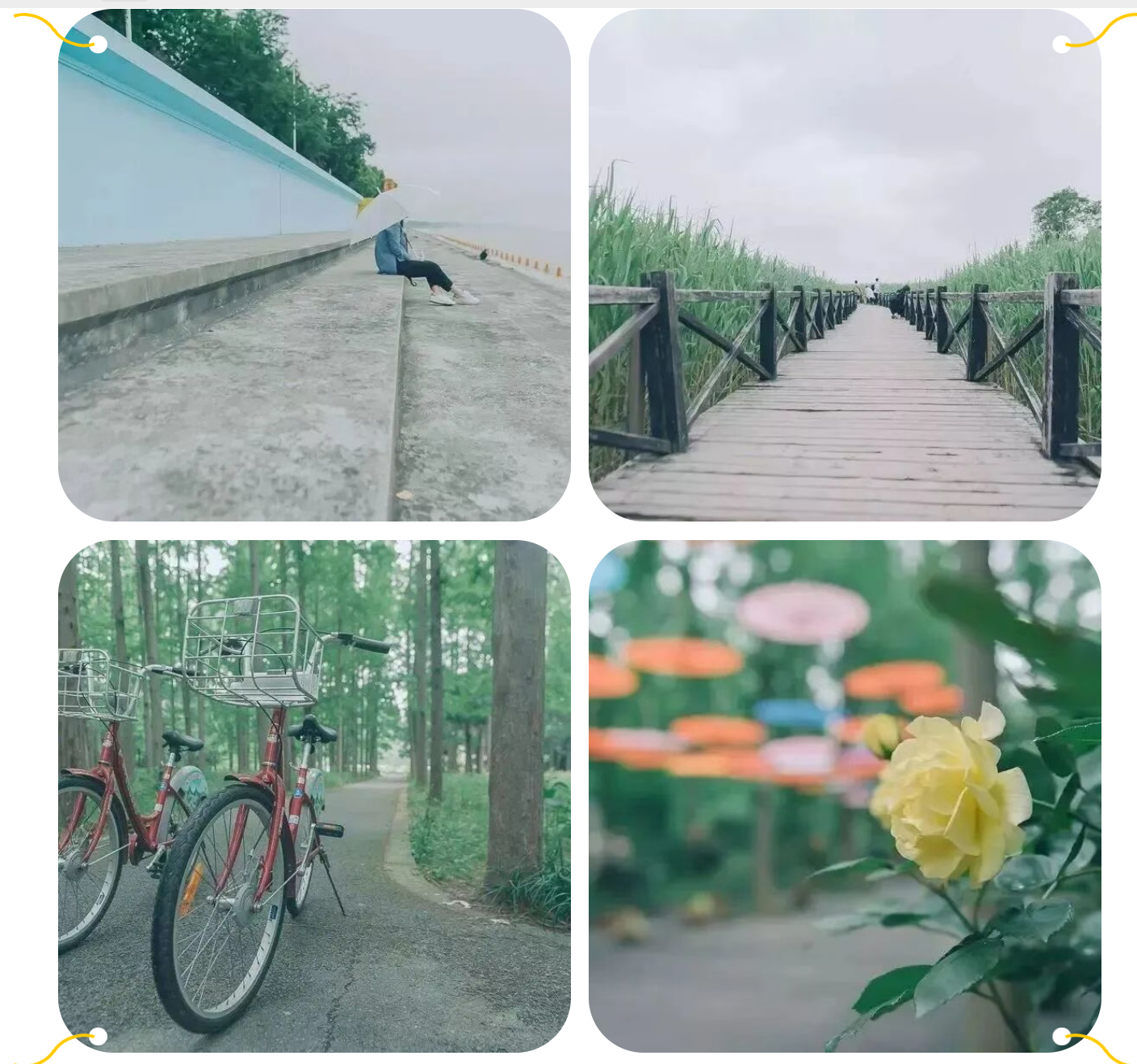 b7724a5e6c5f470419499963c80d490b