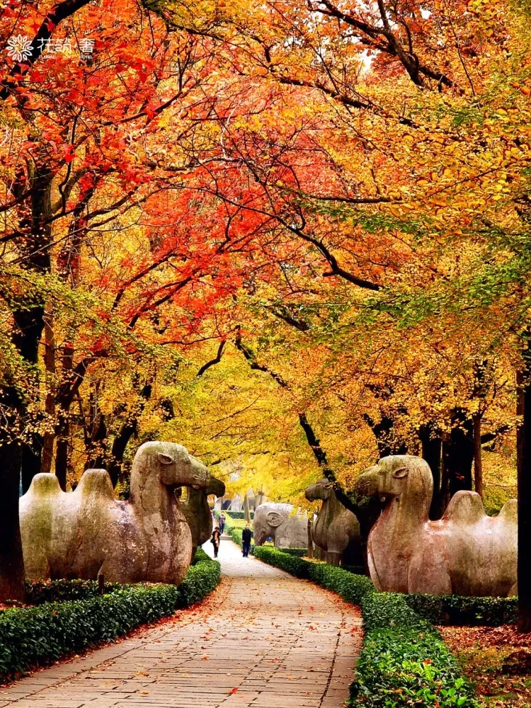 b7e13bf42ebaa0bb67fb497de191352b-sz_4251185