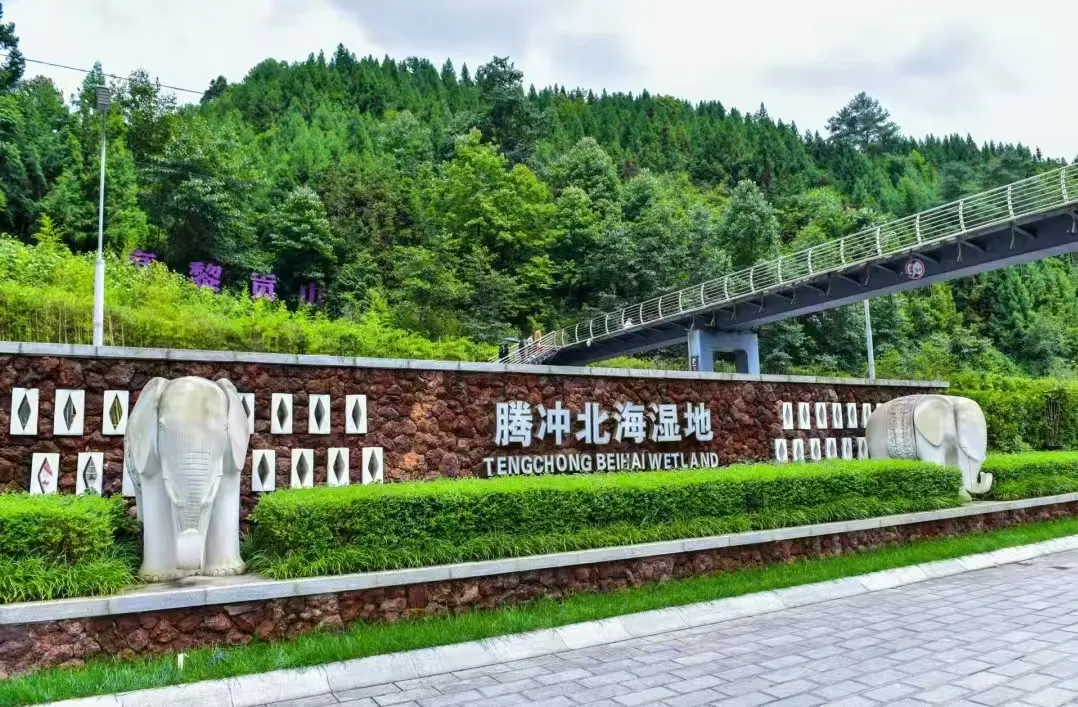 b811db37803383ebad31d2ceff881648-sz_675748