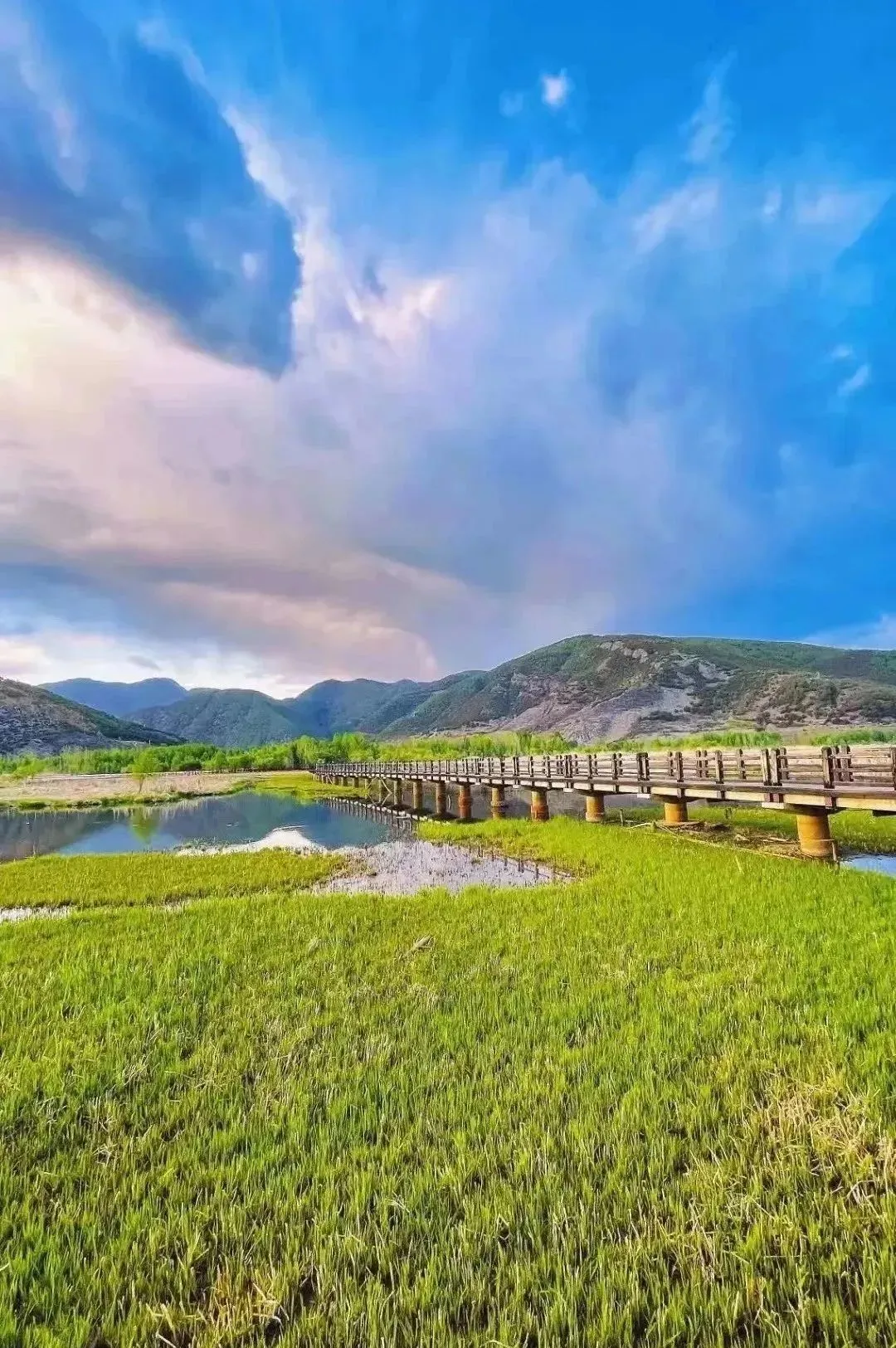 b818da21d7e010ae66b7b9c6ac38f17c-sz_363641