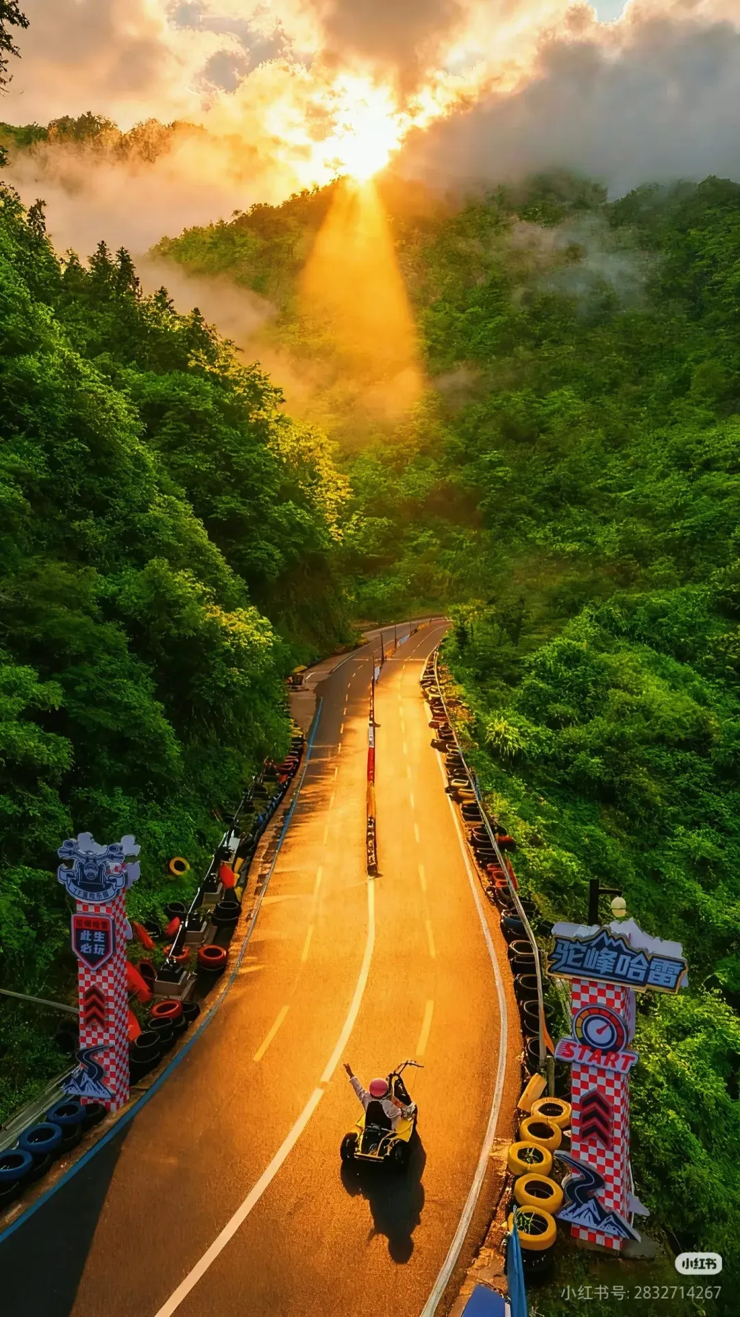 b81c5242c7feaed854a7a558b6c181b4-sz_835621