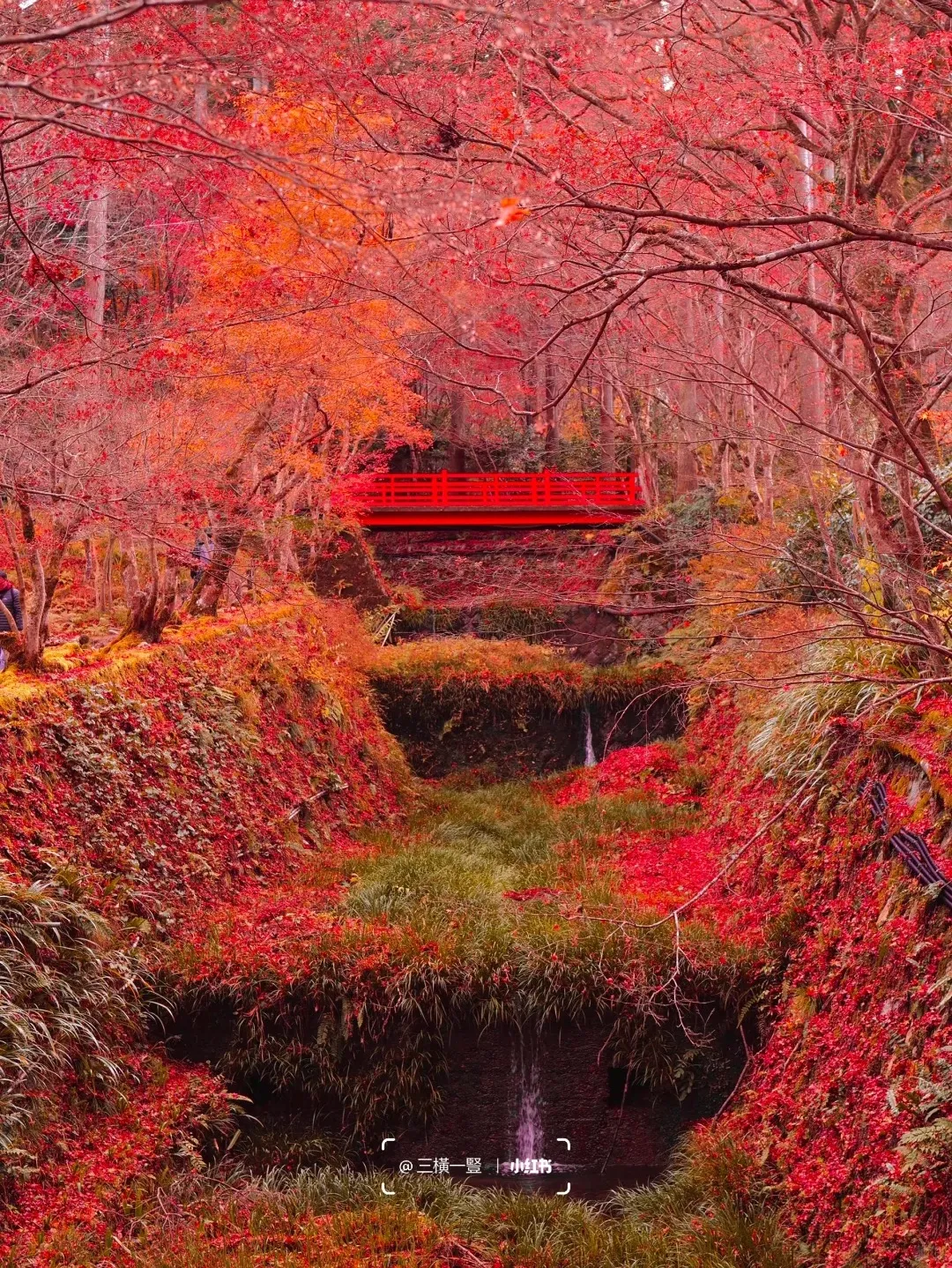 b859c8ce2bffc828d7cd5e661f8f452a-sz_883820-1 b859c8ce2bffc828d7cd5e661f8f452a-sz_883820-1