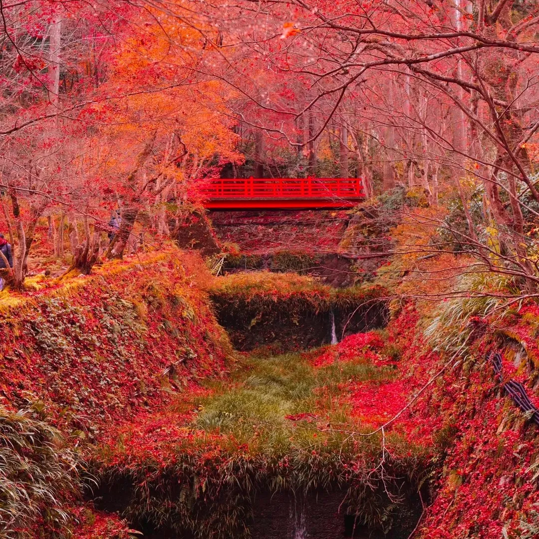 b859c8ce2bffc828d7cd5e661f8f452a-sz_883820 b859c8ce2bffc828d7cd5e661f8f452a-sz_883820