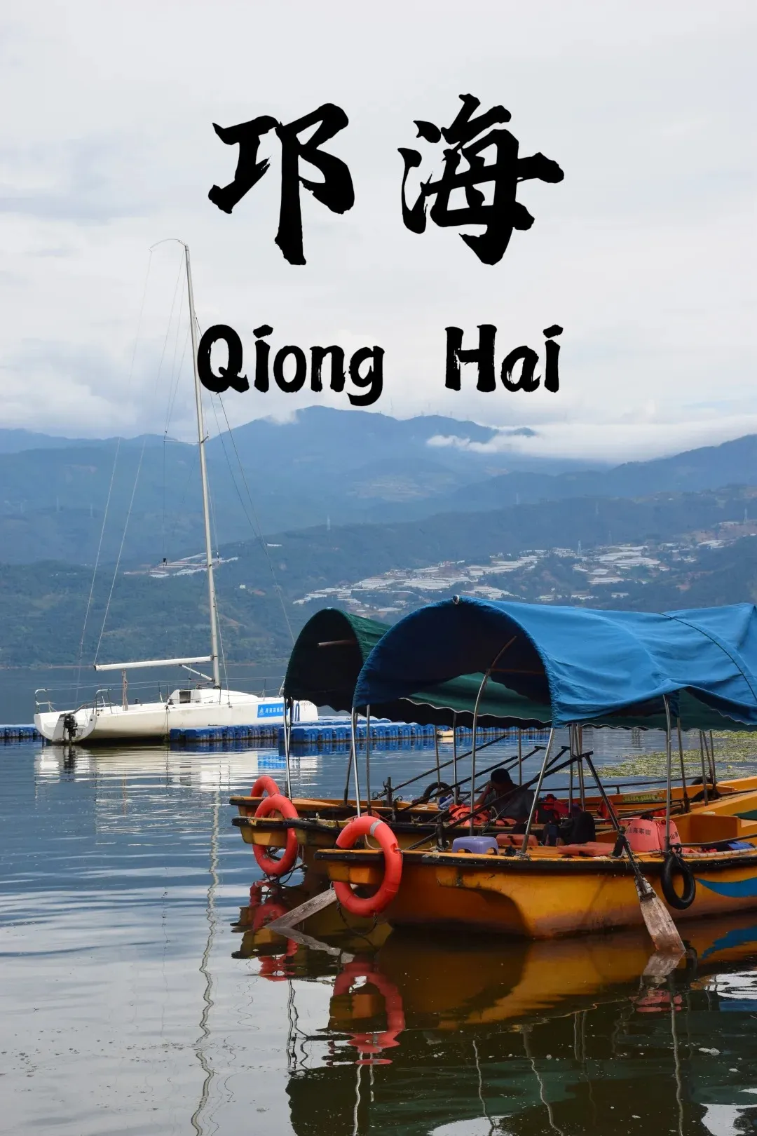 b88d4dd9eeab4834a59604cab4d46f5b-sz_320710