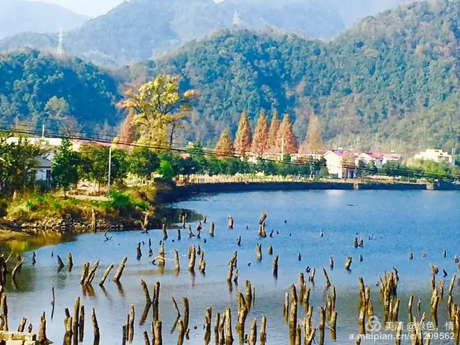 b96686db5ebd66655030c105da5483b1-sz_84248 b96686db5ebd66655030c105da5483b1-sz_84248