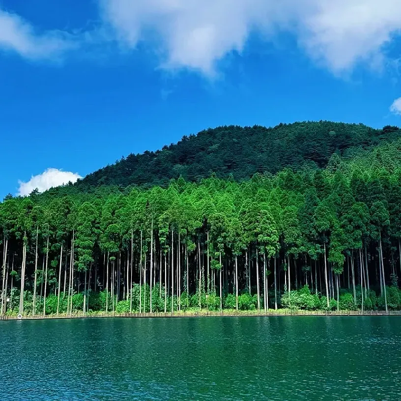 b99ad2a88245a653569e5762db6a2fd0-sz_2980154