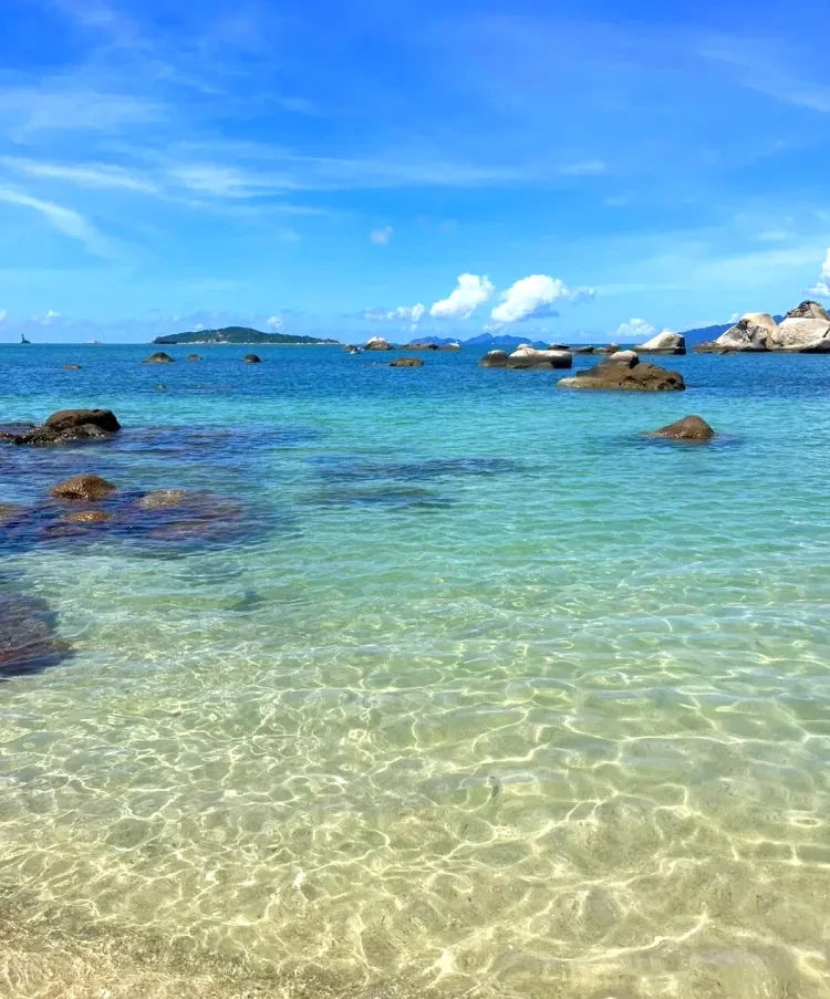 b9a64b14eab34f492c8f86283007f3b9-sz_2041915 b9a64b14eab34f492c8f86283007f3b9-sz_2041915