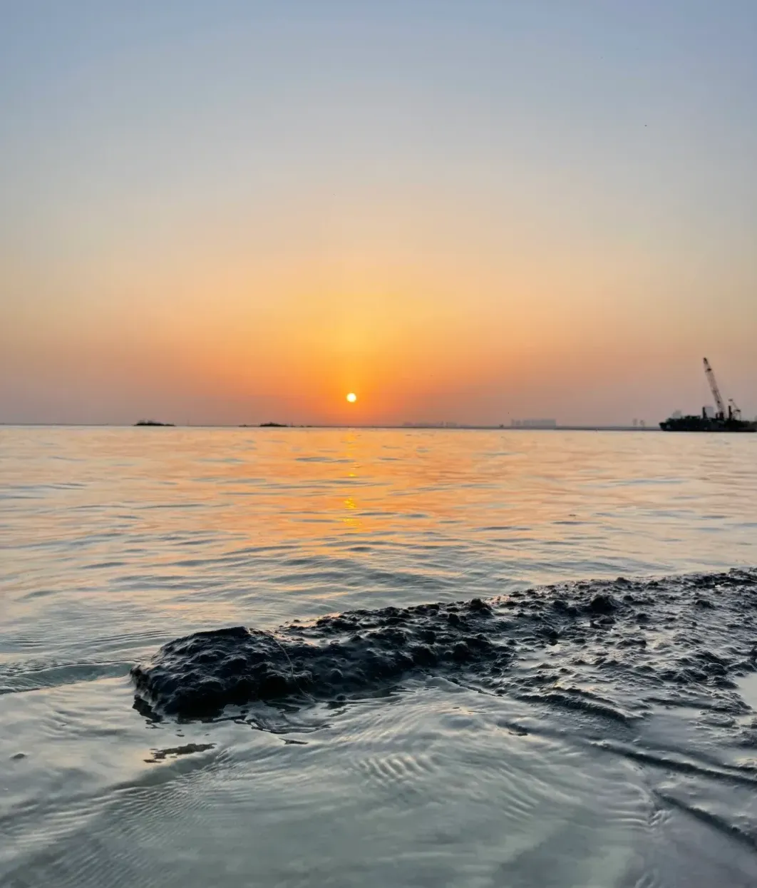 b9b6517cc5896ea6864eec708e0bcfe6-sz_1440911 b9b6517cc5896ea6864eec708e0bcfe6-sz_1440911