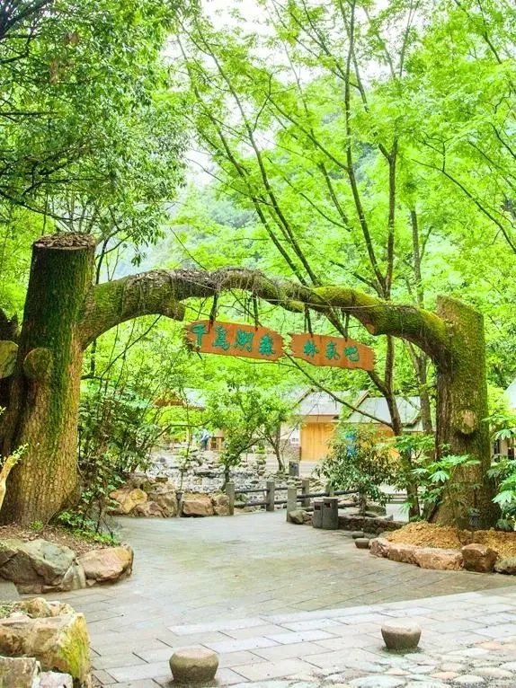 ba49865706c12af838e897e88e4a30b9-sz_154178