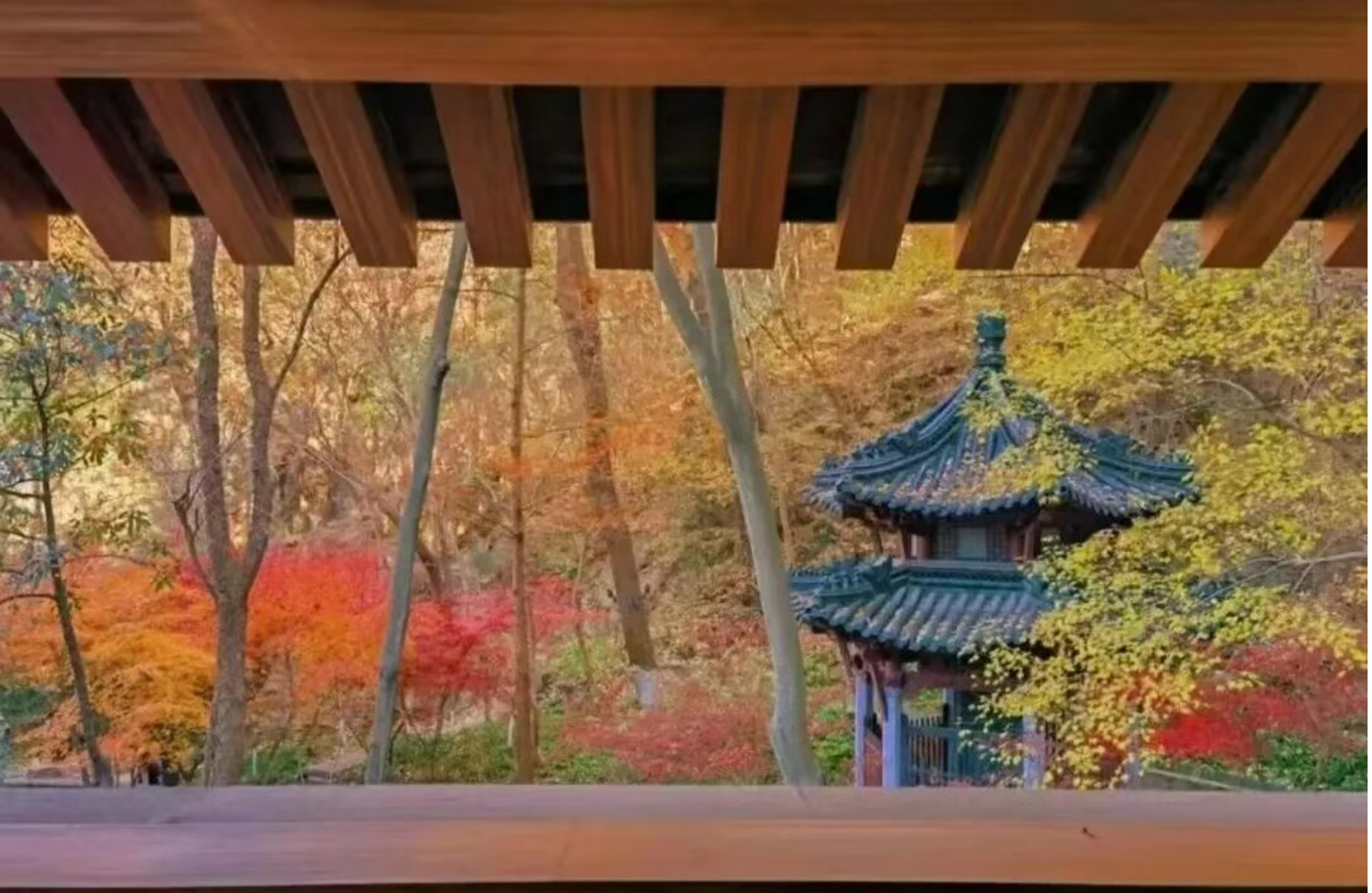 ba5df65ee402494a1fb23e9f4e439c1f ba5df65ee402494a1fb23e9f4e439c1f